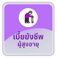 เทศบาลตำบลบ้านแซว (ทต.บ้านแซว) 